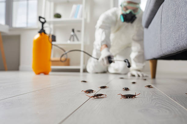Commercial Rodent Management in Callaway